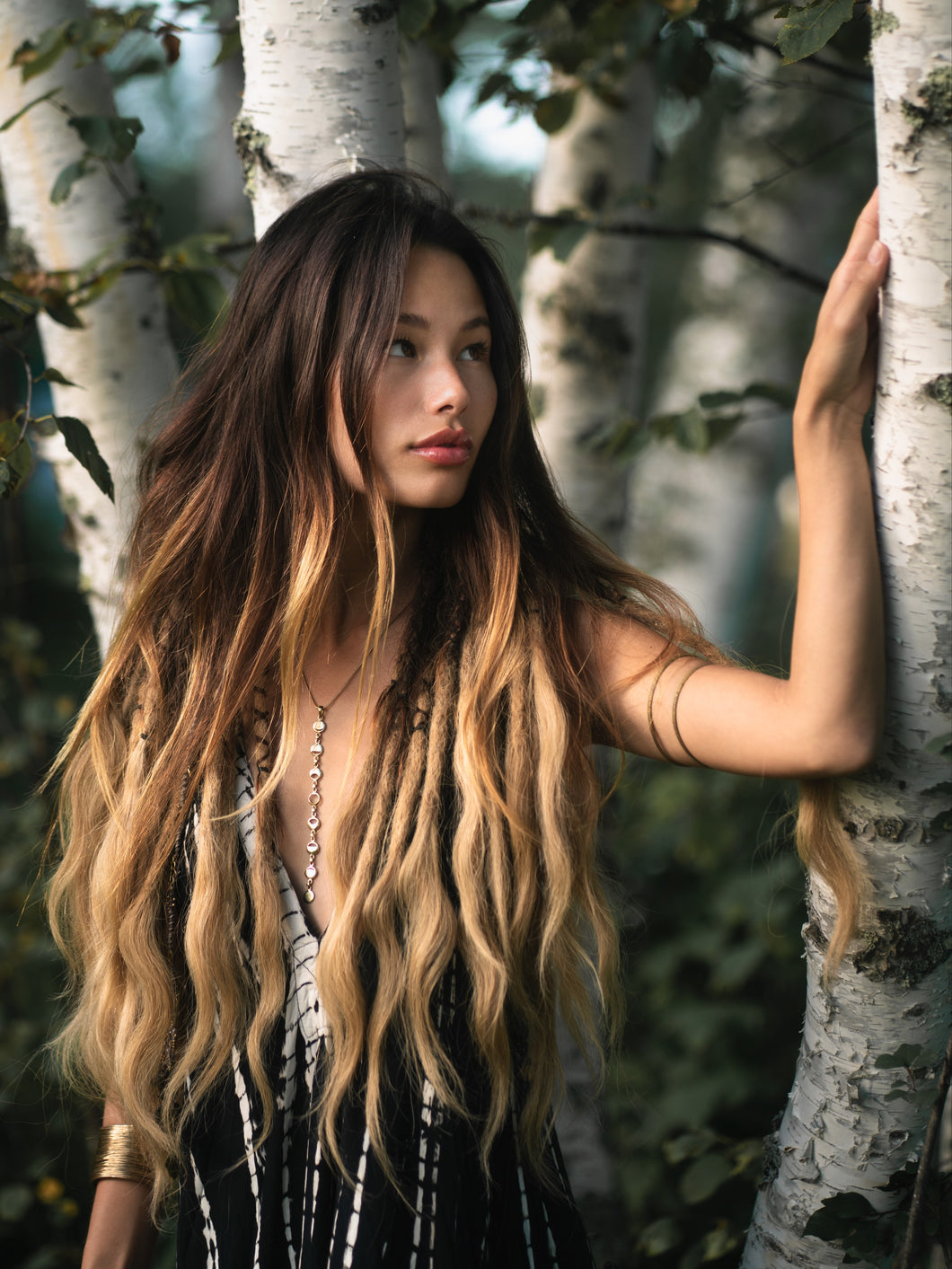 Elevate Your Style with Chic Brown to Beige Blond Natural Ombre Dreadlocks
